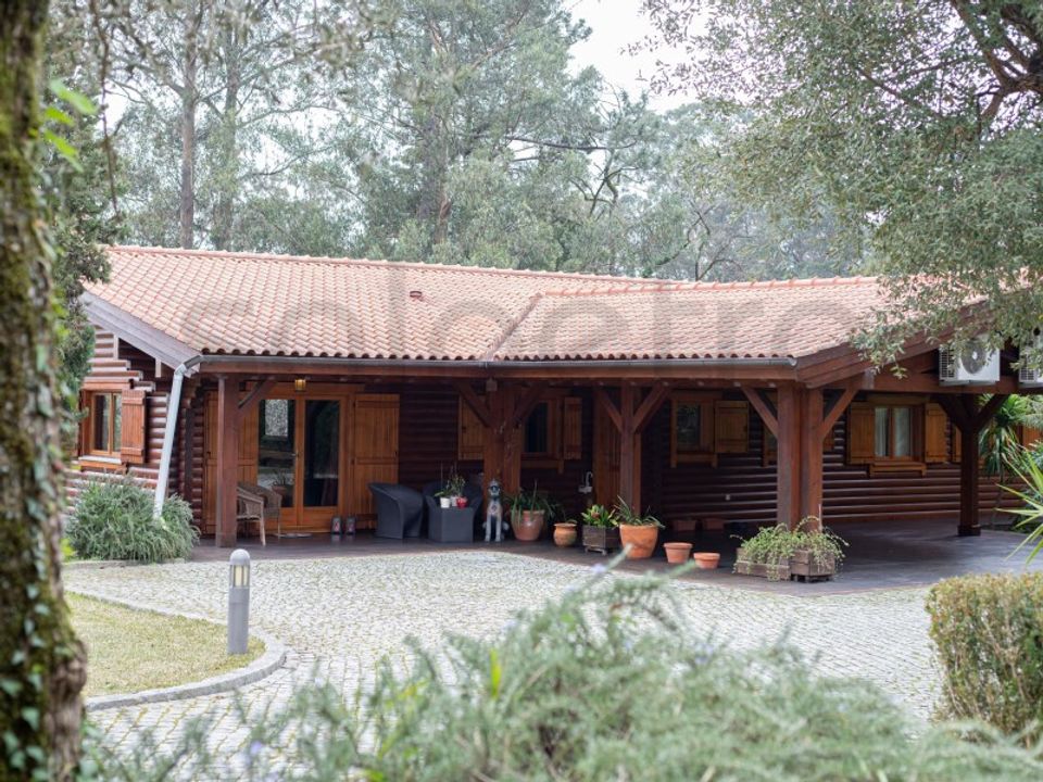 Farm i Oliveira de Azemeis, Aveiro - foto 2