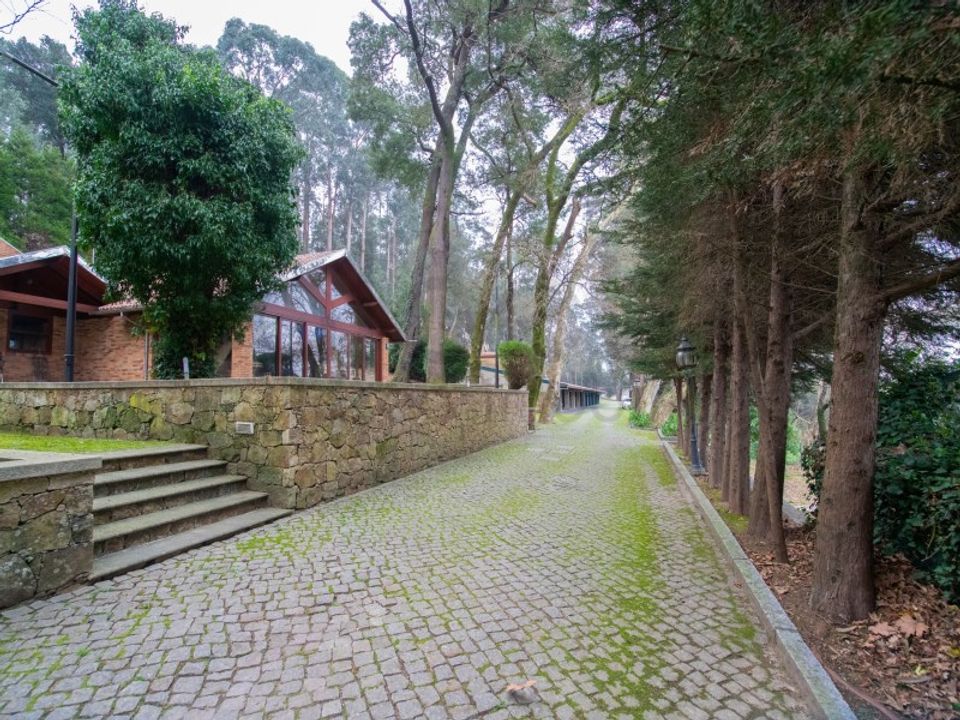 Farm i Oliveira de Azemeis, Aveiro - foto 3