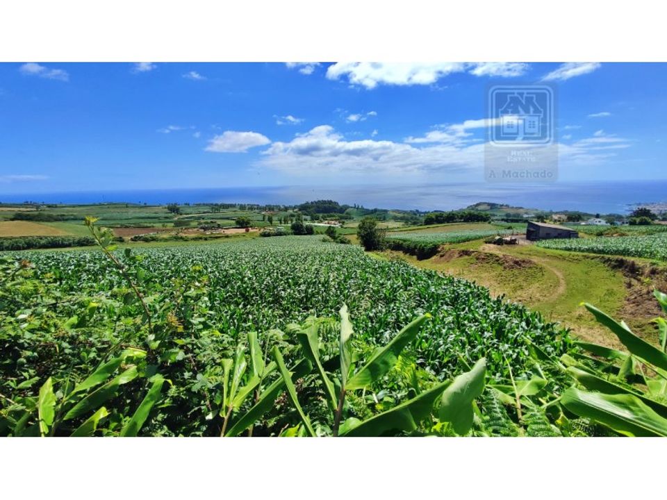 Helårsgrund i Santa Cruz, Madeira - foto 1