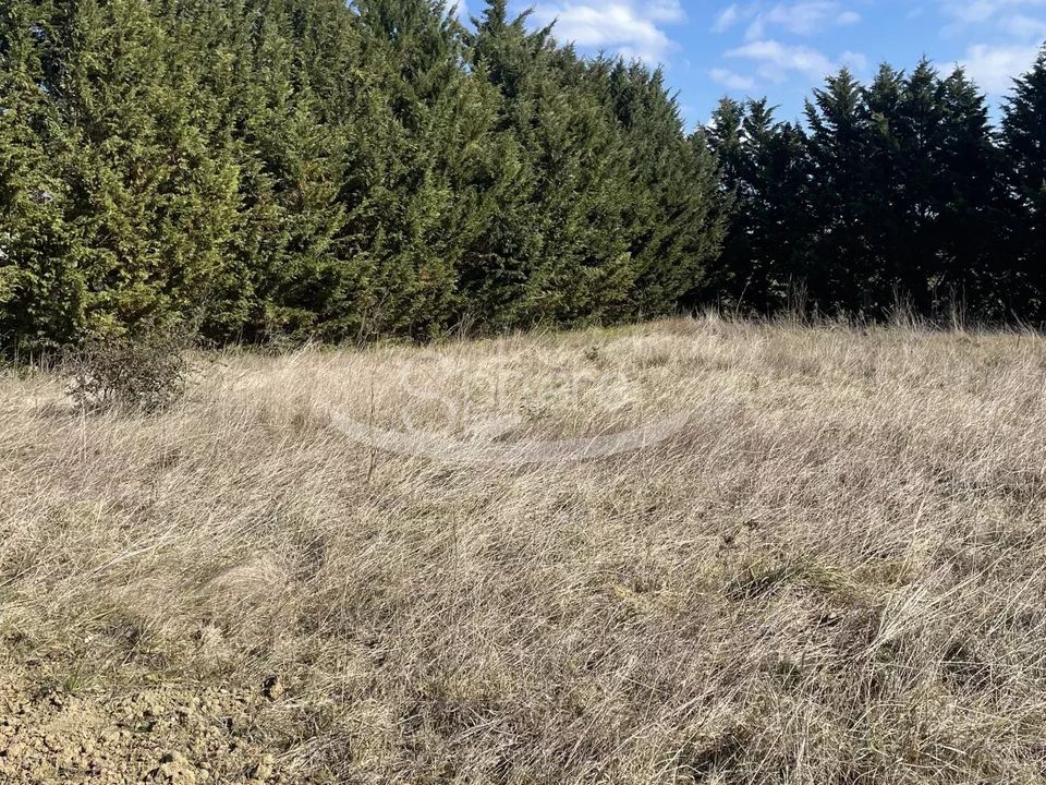 Terra a Belvèze-du-Razès, Aude - foto 3
