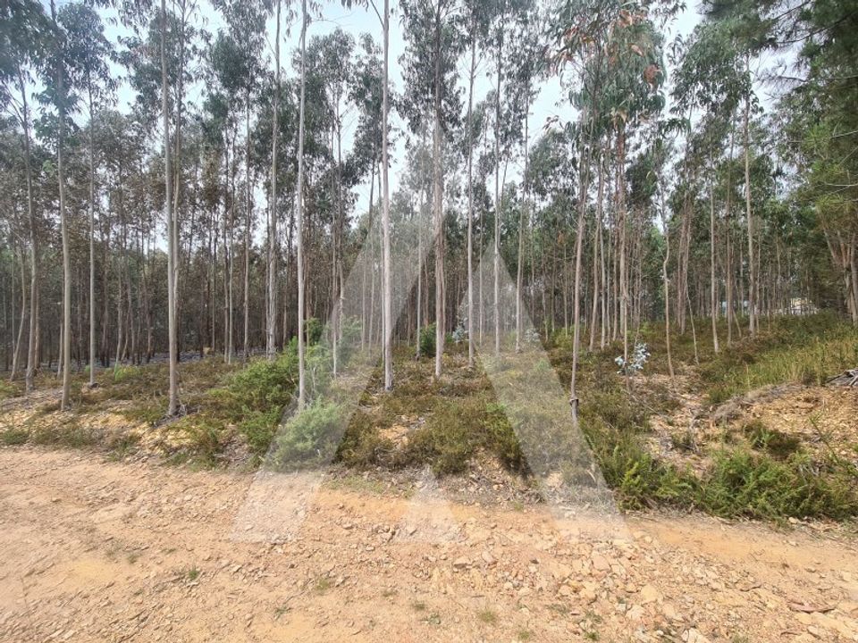 Erhvervsejendom i Oliveira de Azemeis, Aveiro - foto 1