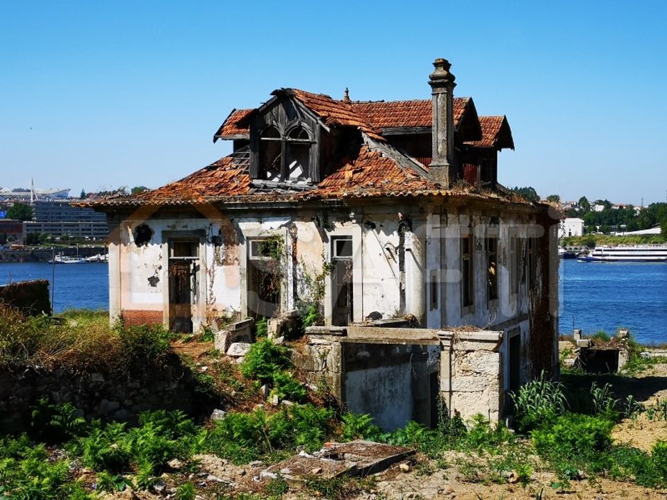 Farm i Oliveira do Douro, Porto - foto 3