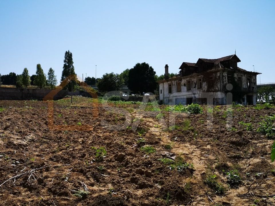 Farm i Oliveira do Douro, Porto - foto 5