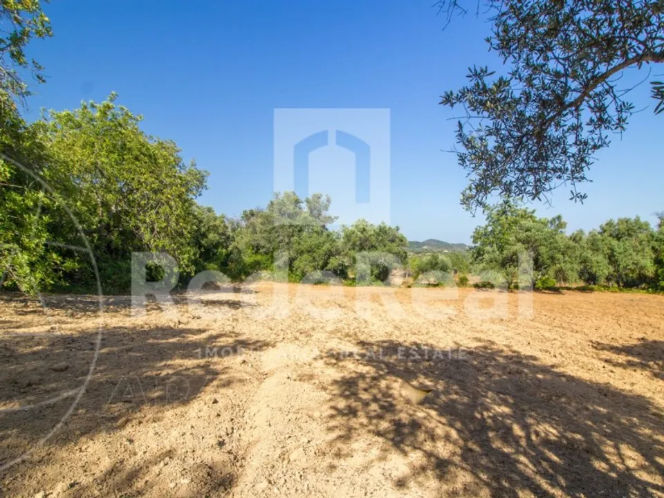 Helårsgrund i Santa Barbara de Nexe, Faro - foto 2