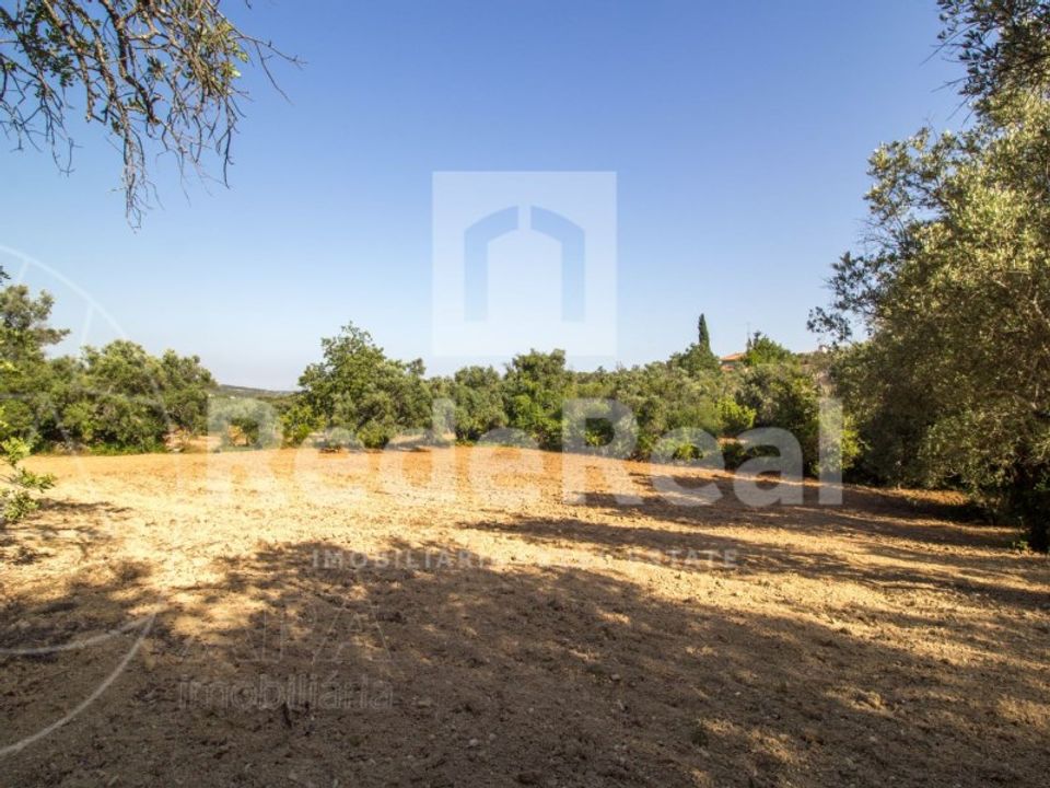 Helårsgrund i Santa Barbara de Nexe, Faro - foto 3