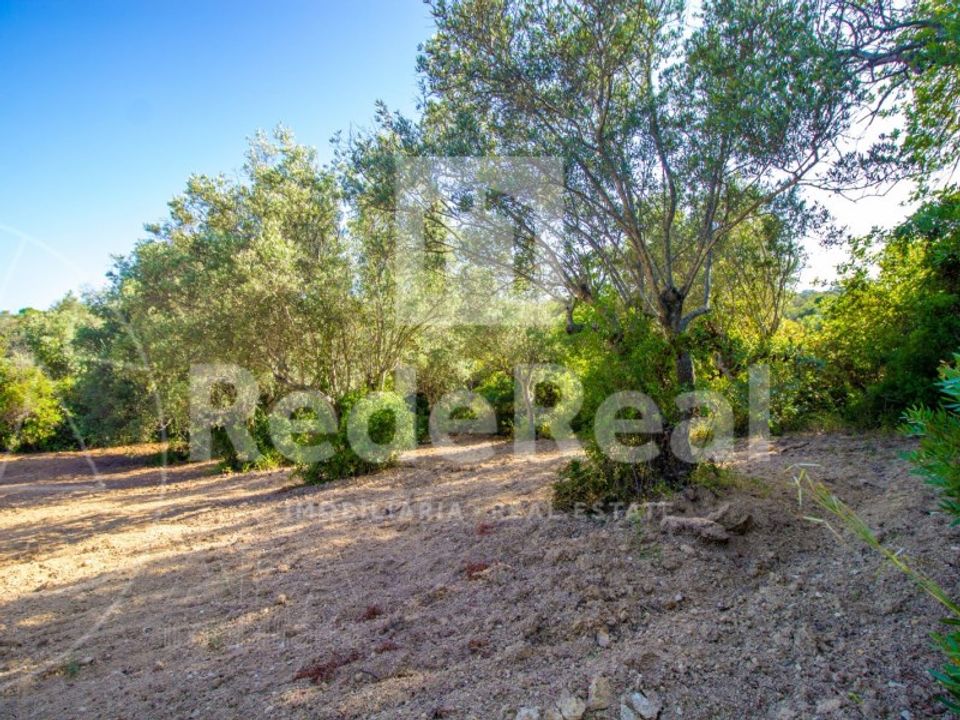 Helårsgrund i Santa Barbara de Nexe, Faro - foto 4