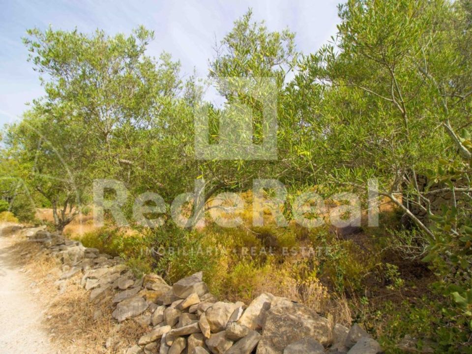Helårsgrund i Estoi, Faro - foto 3