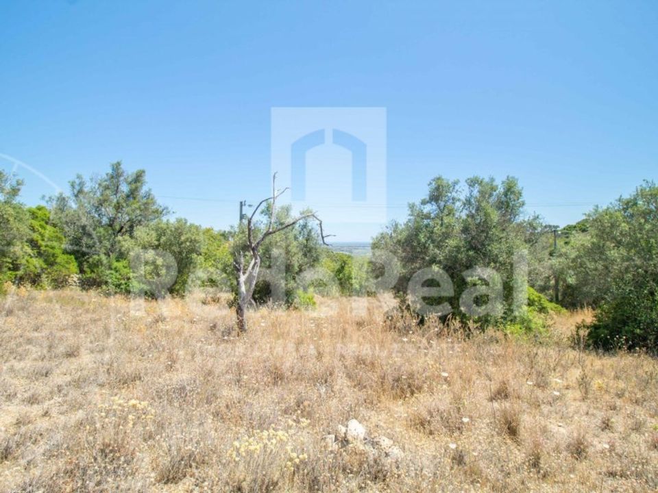 Helårsgrund i Santa Barbara de Nexe, Faro - foto 2