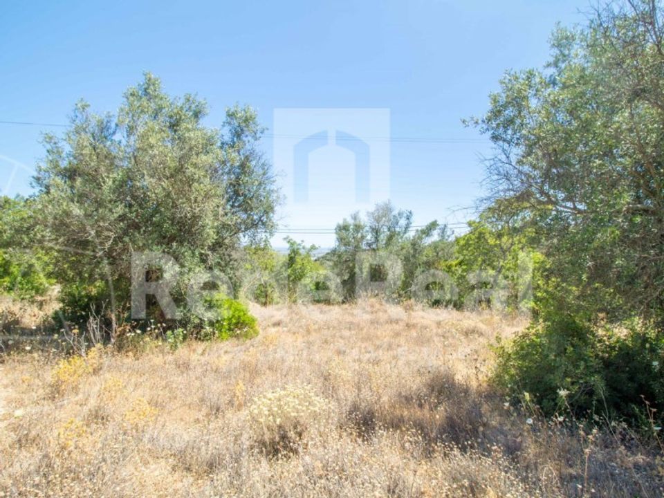 Helårsgrund i Santa Barbara de Nexe, Faro - foto 3
