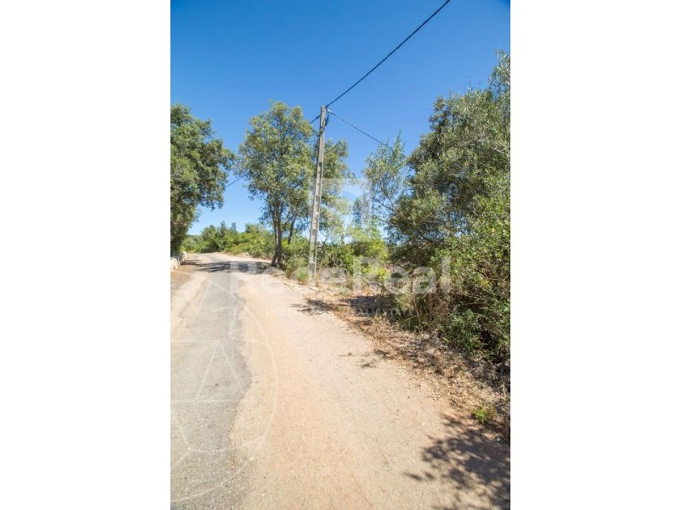 Helårsgrund i Santa Barbara de Nexe, Faro - foto 5
