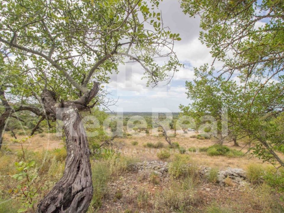 Helårsgrund i Boliqueime, Faro - foto 1