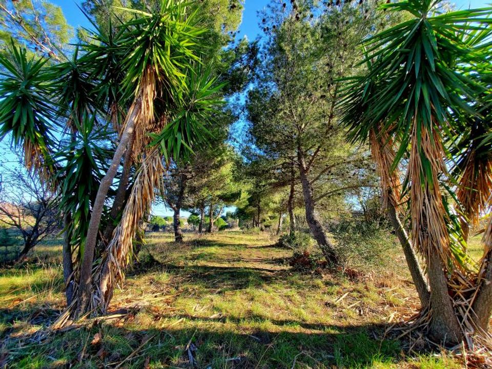Helårsgrund i Alignan-du-Vent, Herault - foto 4