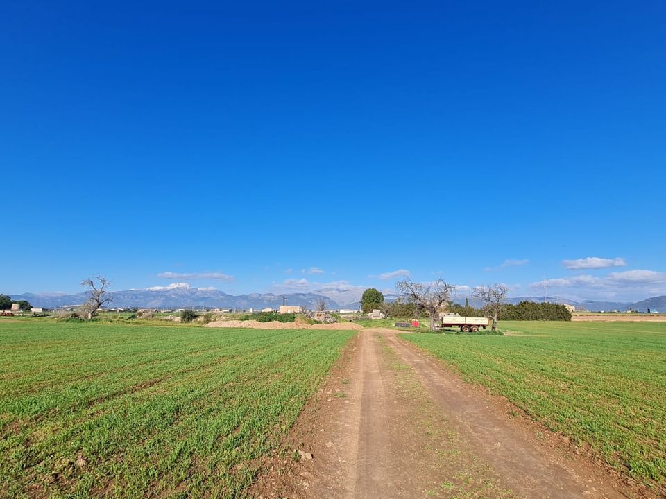 Helårsgrund i Sa Pobla, Mallorca - foto 3