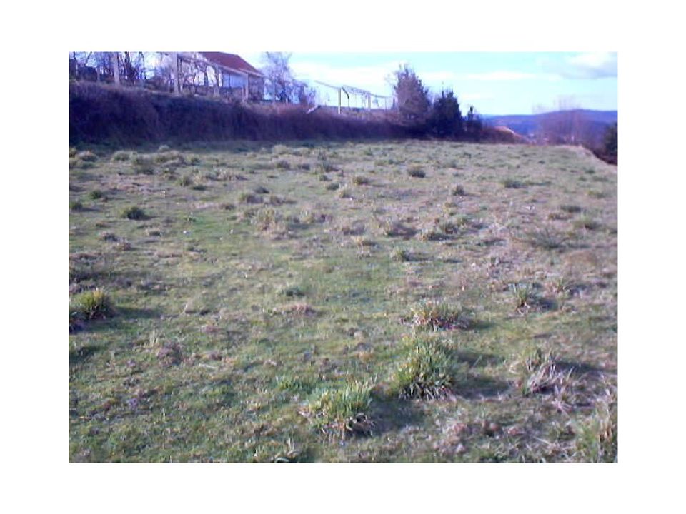 Helårsgrund i Paredes de Coura, Viana do Castelo - foto 1