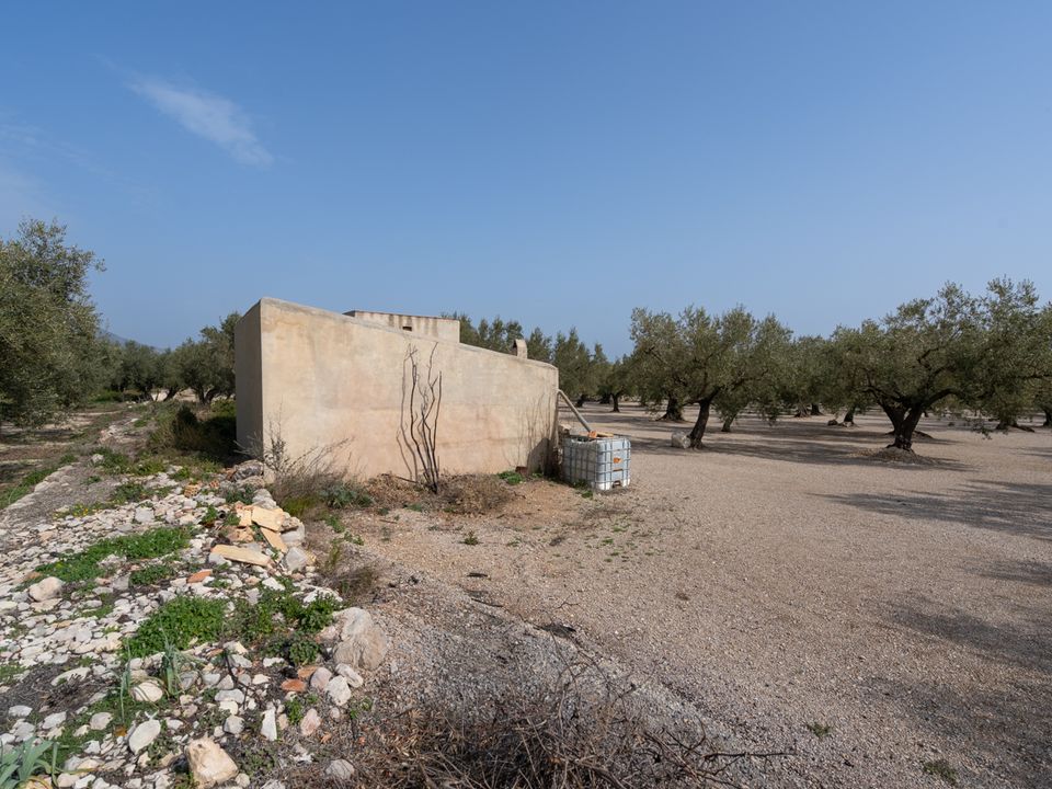 Finca i Mas De Barberans, Tarragona - foto 4