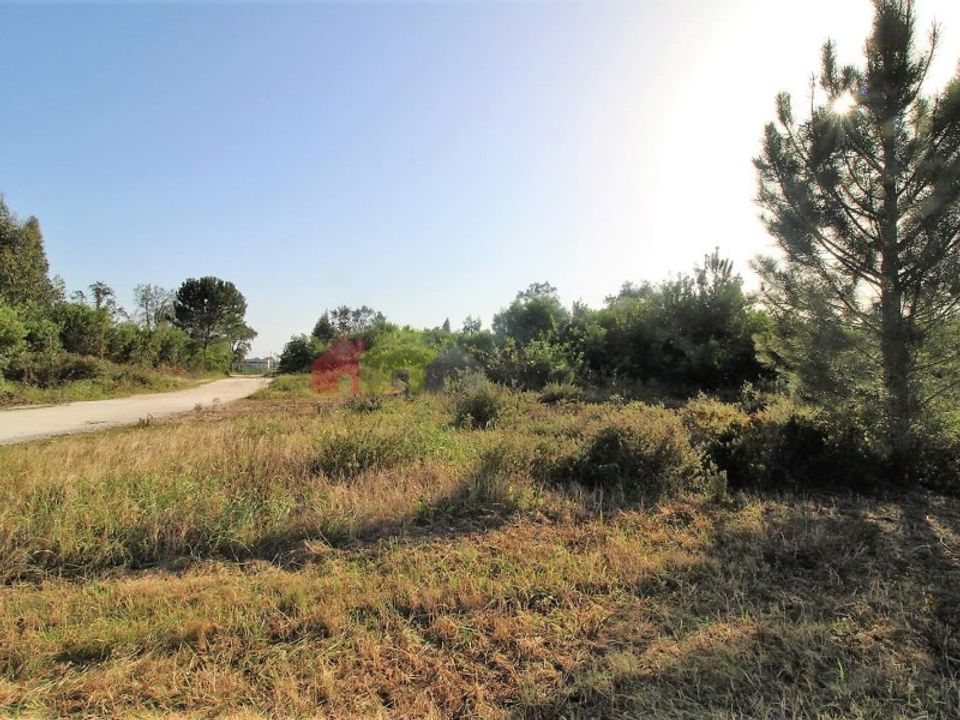 Helårsgrund i Montijo, Setubal - foto 5
