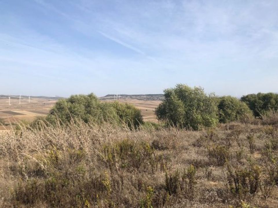 Lejlighed i Vejer De La Frontera, Cadiz - foto 5