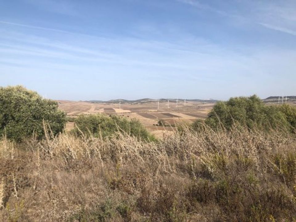 Lejlighed i Vejer De La Frontera, Cadiz - foto 4
