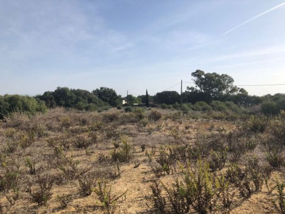 Lejlighed i Vejer De La Frontera, Cadiz - foto 1