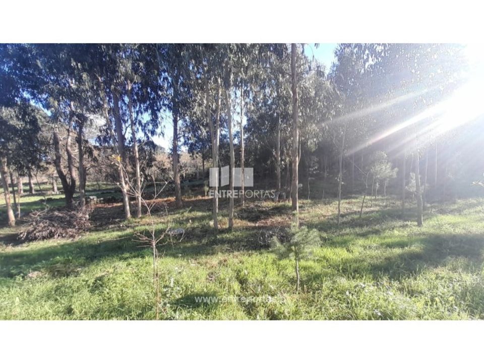 Helårsgrund i Vila Praia de Ancora, Viana do Castelo - foto 1