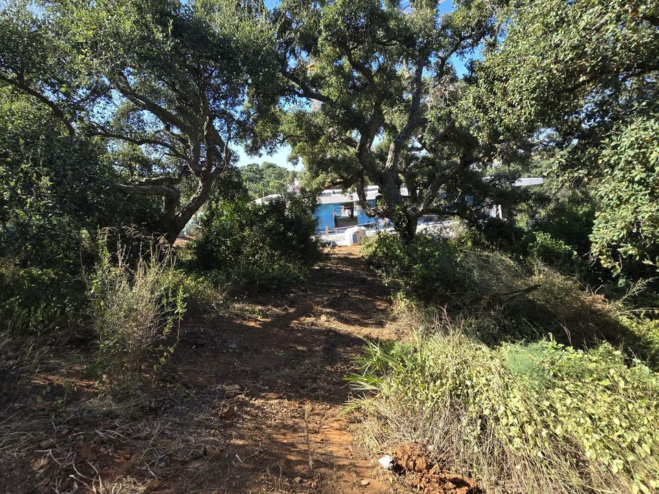 Helårsgrund i Sotogrande, Cadiz - foto 3
