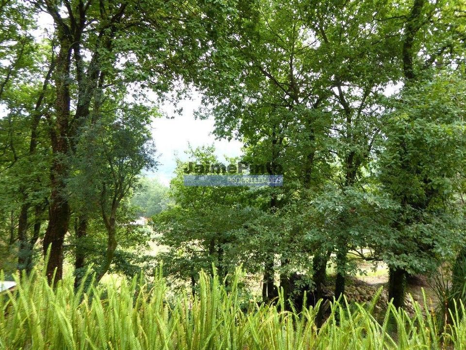 Villa i Terras de Bouro, Braga - foto 4