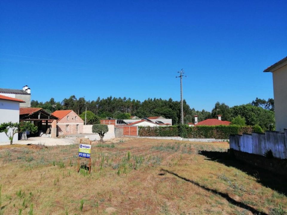 Helårsgrund i Souto da Carpalhosa e Ortigosa, Leiria - foto 4