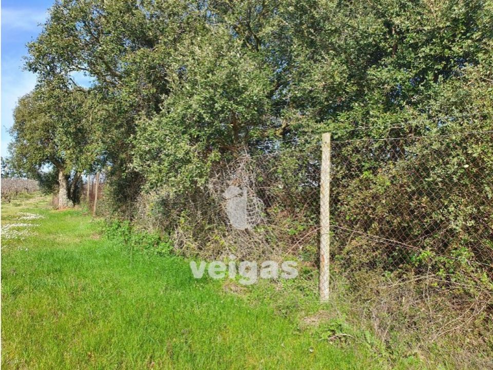 Helårsgrund i Cadaval, Lisbon - foto 3