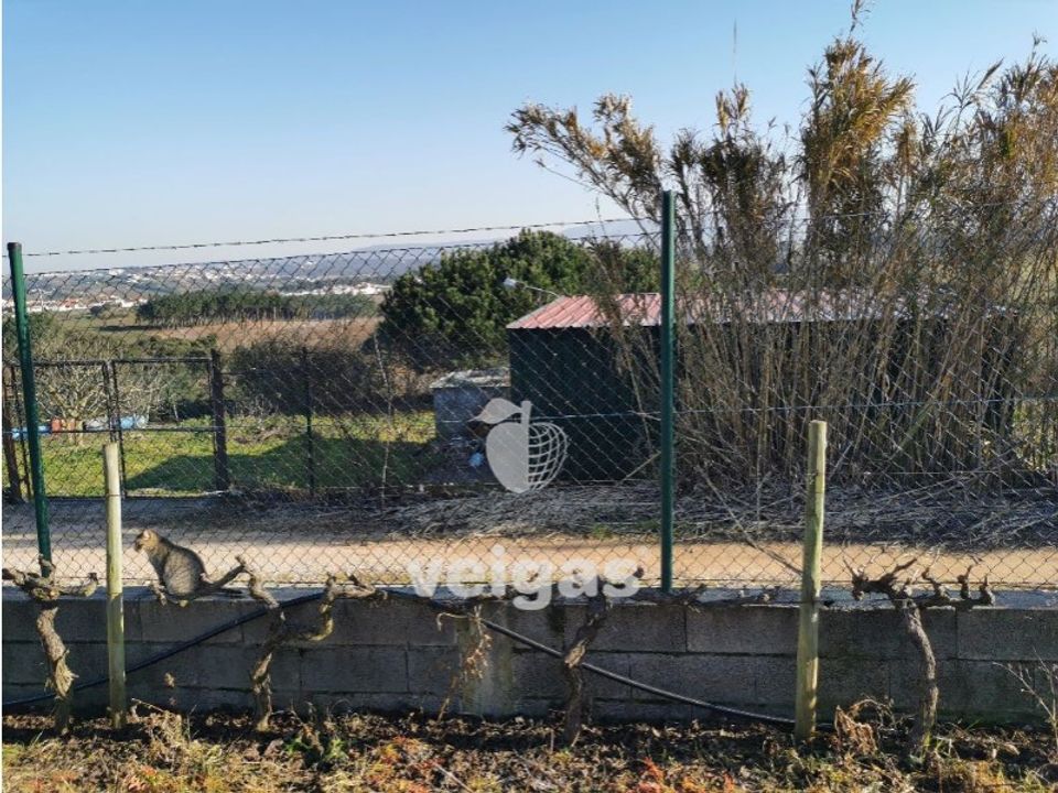Helårsgrund i Bombarral, Leiria - foto 3