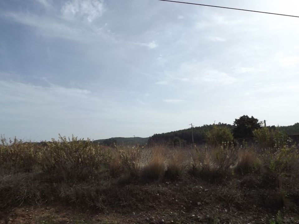 Helårsgrund i Rio Maior, Santarem - foto 2