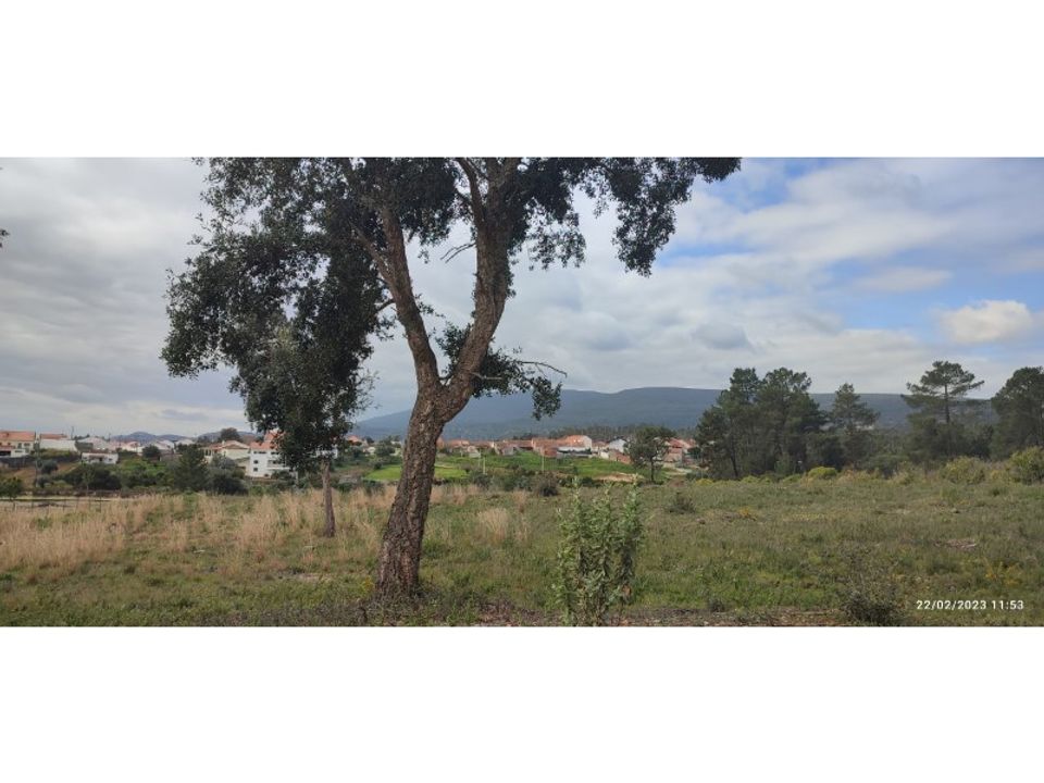 Helårsgrund i Torres Novas, Santarem - foto 1