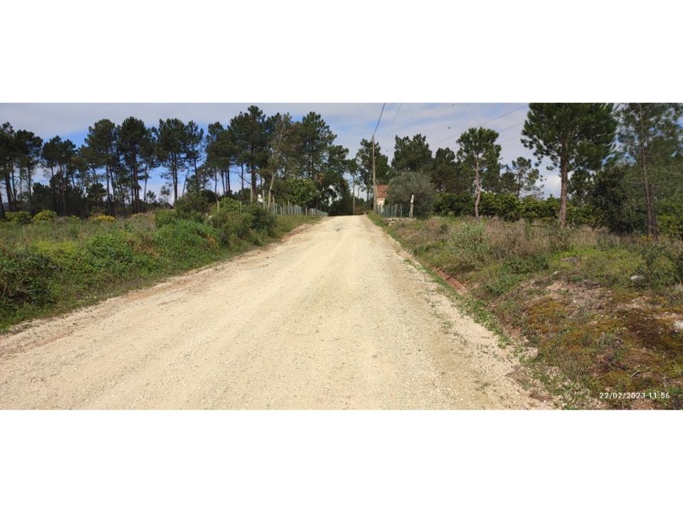 Helårsgrund i Torres Novas, Santarem - foto 5