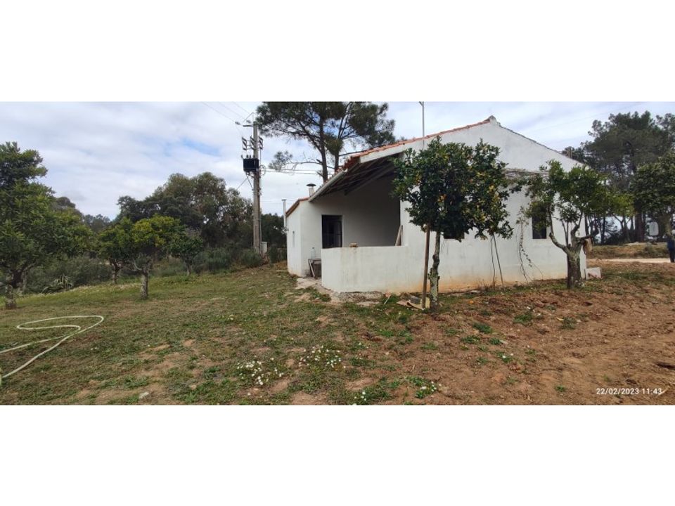 Farm i Torres Novas, Santarem - foto 2
