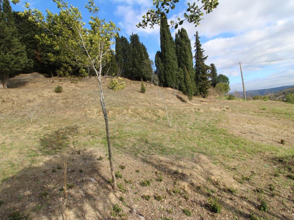 Helårsgrund i Limoux, Aude - foto 3
