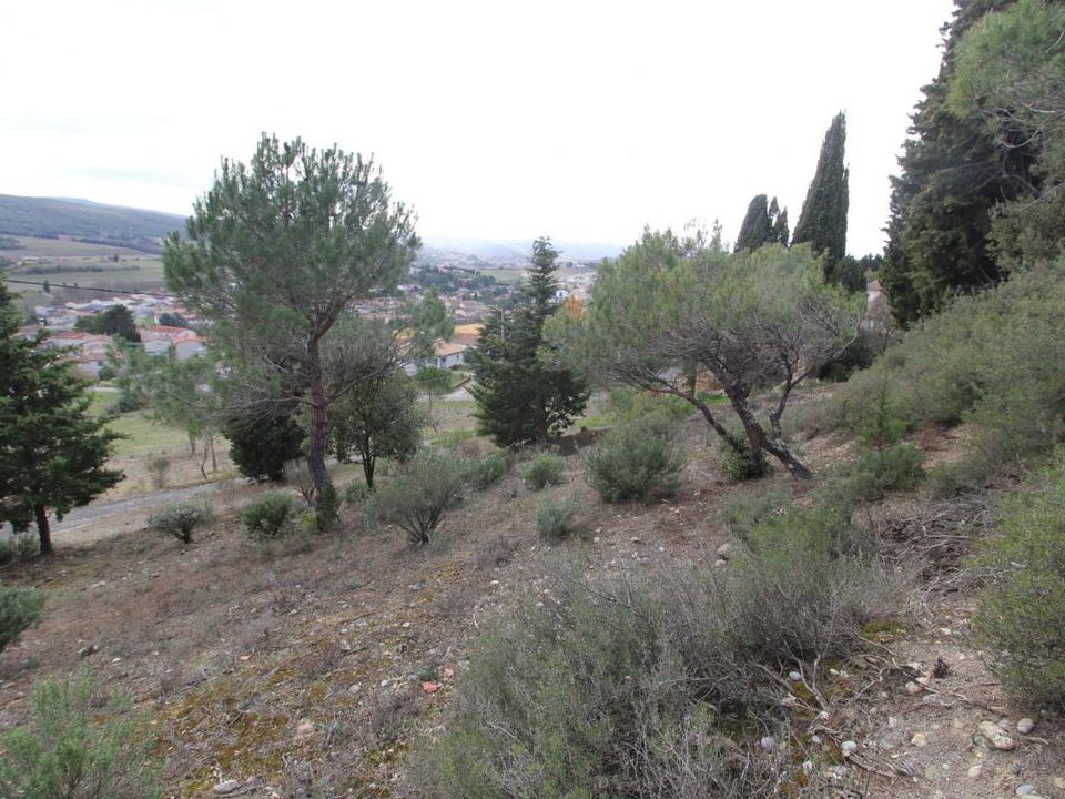 Helårsgrund i Limoux, Aude - foto 4