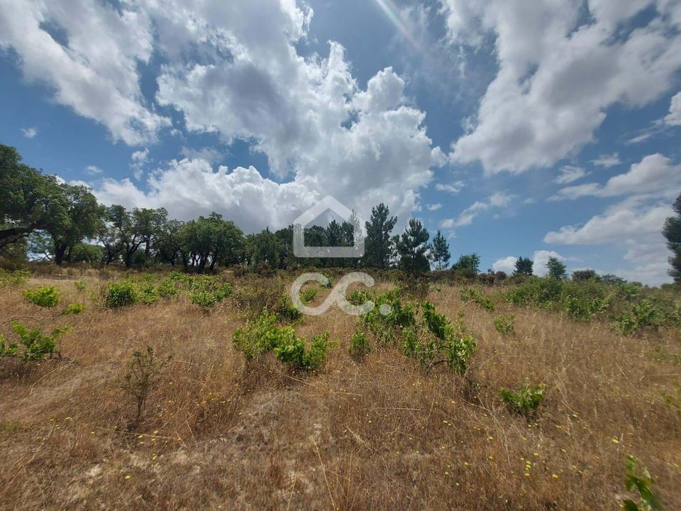 Terra a Mora, Evora - foto 1