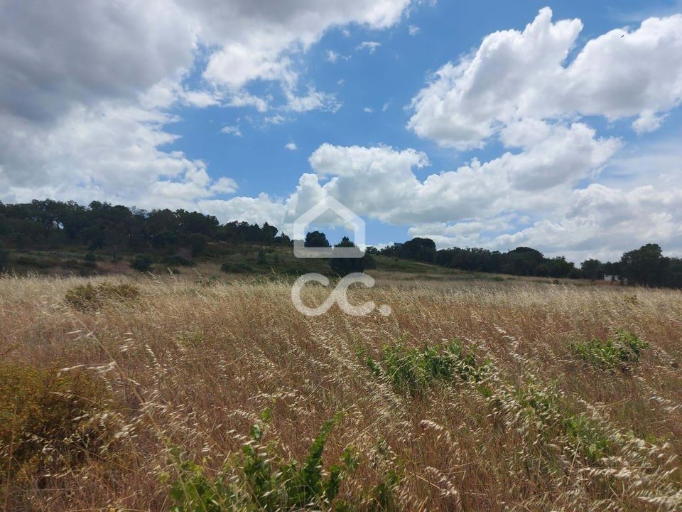 Terra a Mora, Evora - foto 2
