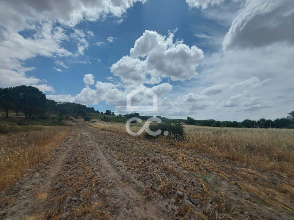 Terra a Mora, Evora - foto 3