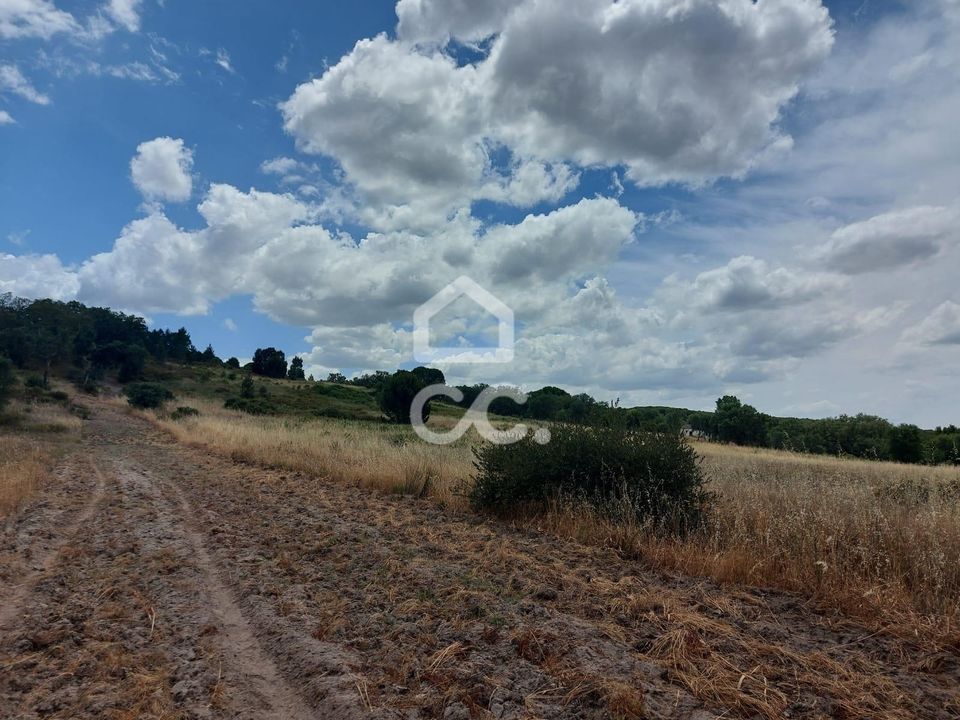 Terra a Mora, Evora - foto 5