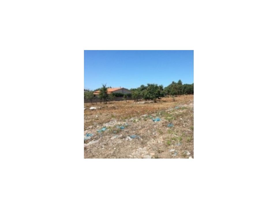 Helårsgrund i Alcobaca, Leiria - foto 1