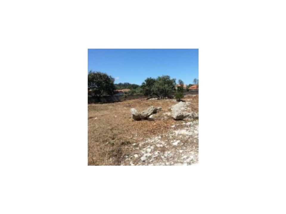 Helårsgrund i Alcobaca, Leiria - foto 3