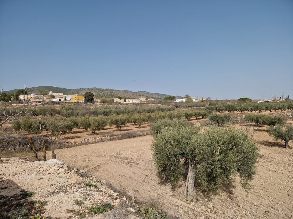 Cave house i Raspay, Murcia - foto 3