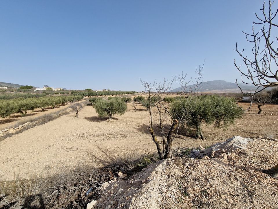 Cave house i Raspay, Murcia - foto 4