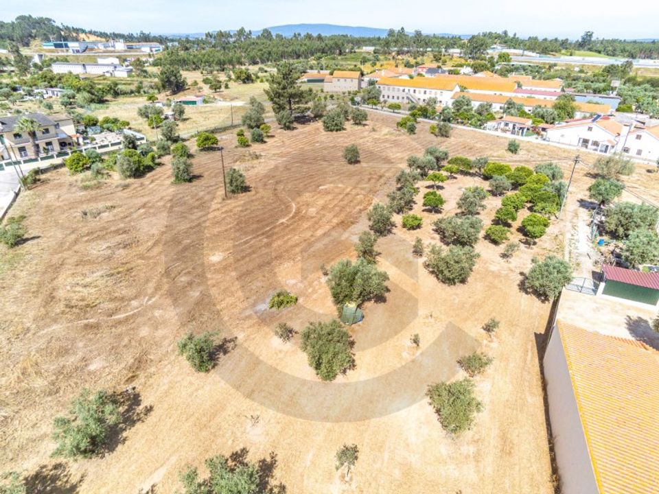 Helårsgrund i Asseiceira, Santarem - foto 3
