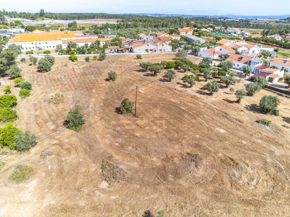 Helårsgrund i Asseiceira, Santarem - foto 5