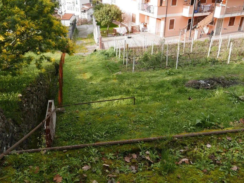 Helårsgrund i Soldano, Imperia - foto 3