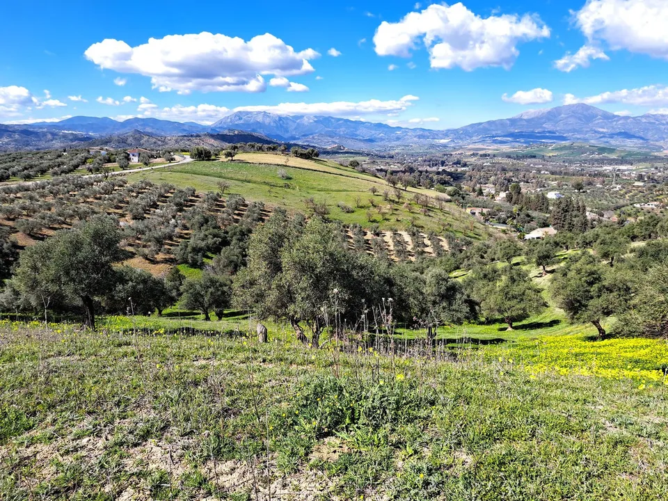 Helårsgrund i Coin, Malaga - foto 1
