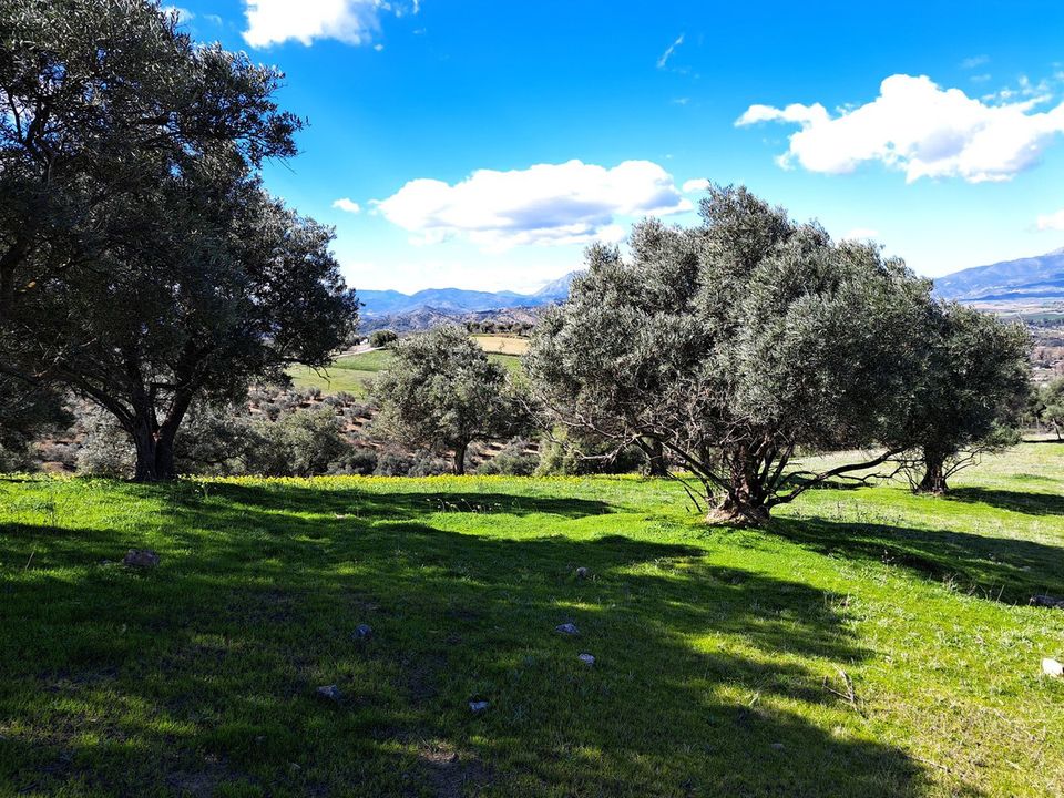 Helårsgrund i Coin, Malaga - foto 3