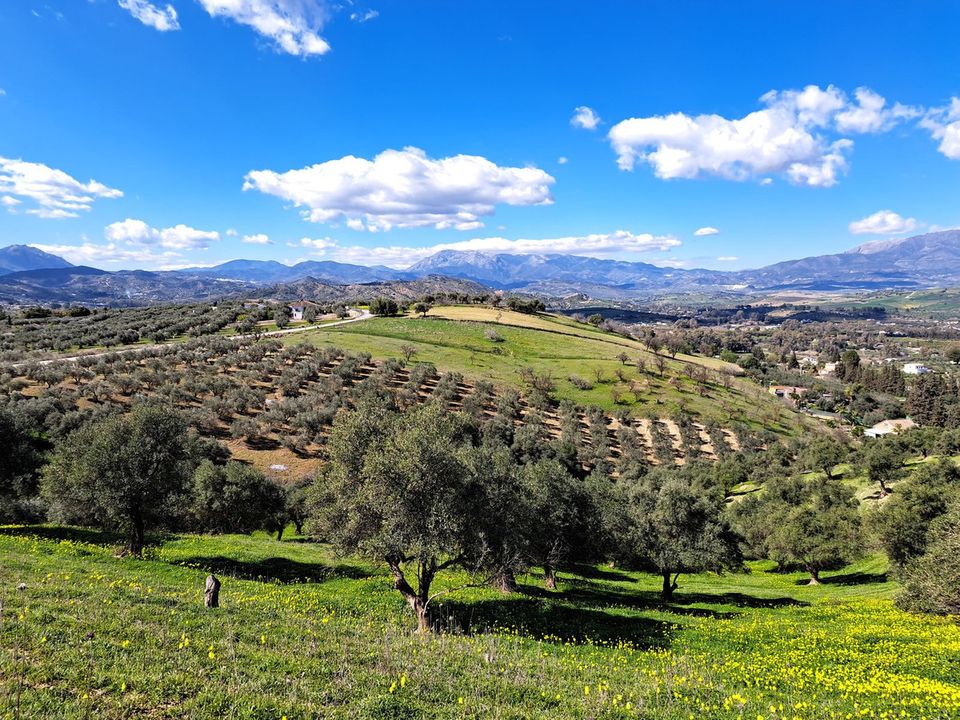 Helårsgrund i Coin, Malaga - foto 4
