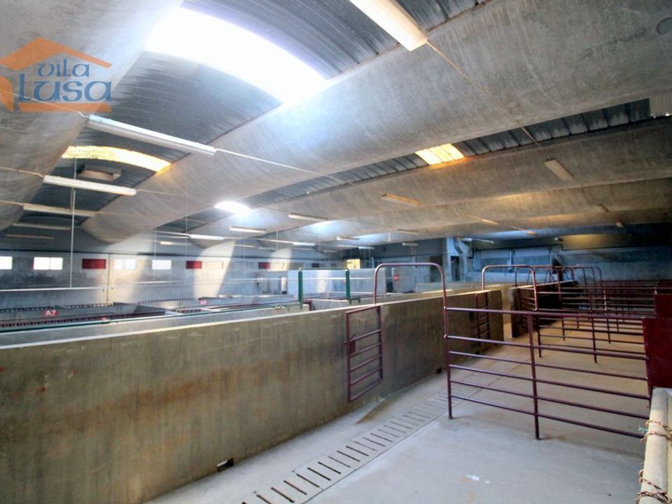 Erhvervsejendom i Oliveira do Hospital, Coimbra - foto 3
